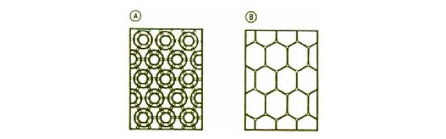 نماي شماتیک از رشد سلول در فوم ها (A) شکل هاي کروي اولیه سلول (B) شکل هاي چند ضلعی سلول هاي رشد یافته