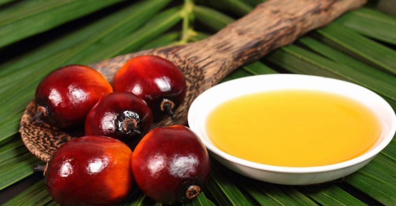 طرح تولید روغن از هسته خرما طرح تولید روغن از هسته خرما