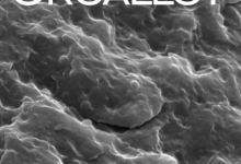 orgalloy micrograph 2a copy.png 826806128 220x150 - طرح تولید آلیاژهای پلی آمید
