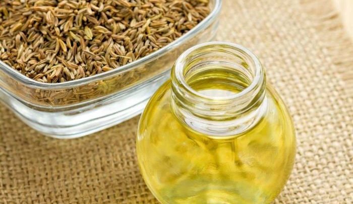 طرح پرورش گیاه زیره و تولید روغن زیره طرح پرورش گیاه زیره و تولید روغن زیره