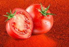 تولید پودر گوجه فرنگی