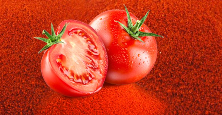 تولید پودر گوجه فرنگی