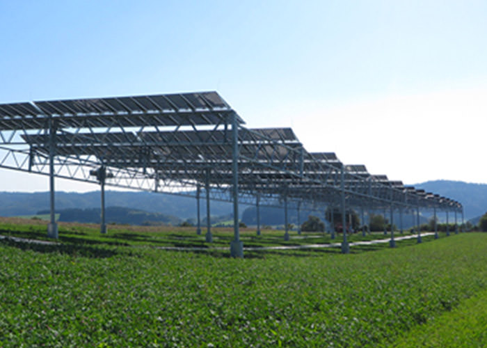 بیش از نیمی از مزارع خورشیدی مستقر در مینهسوتا در سالهای اخیر دارای گیاهان بومی مناسب برای گردهافشانی شدهاند نیروگاه خورشیدی