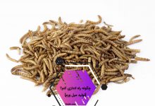 mealworm 220x150 - راهنمای کامل پرورش کرم میل ورم + بررسی سود