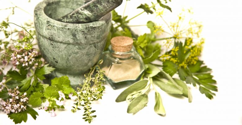 گیاهان دارویی گیاهان دارویی