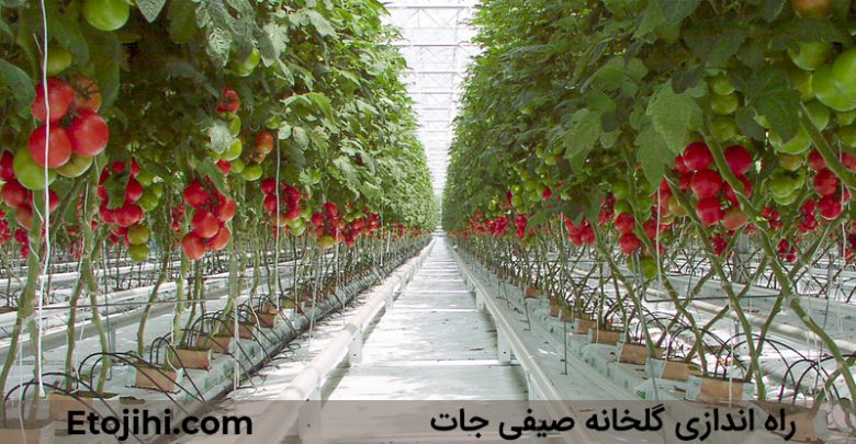 چگونه یک گلخانه صیفی جات راه اندازی کنیم؟ tie empty - چگونه یک گلخانه صیفی جات راه اندازی کنیم؟