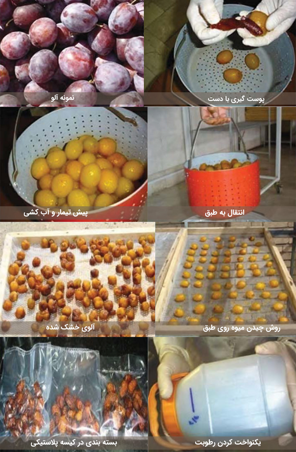 marahele khoshk kardan aloo - آموزش صفر تا صد خشک کردن میوه و سبزیجات