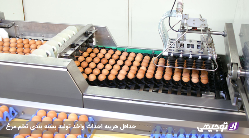 حداقل هزینه احداث واخد تولید بسته بندی تخم مرغ