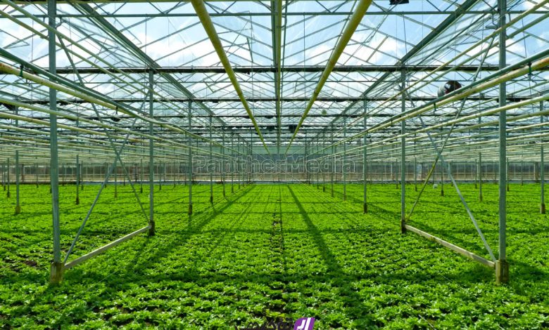 greenhouse3-min طرح توجیهی گلخانه به چه منظور نگارش می شود؟