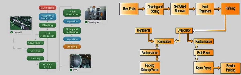فرایند تولید محصول مورد بررسی در طرح توجیهی کارخانه پودر میوه