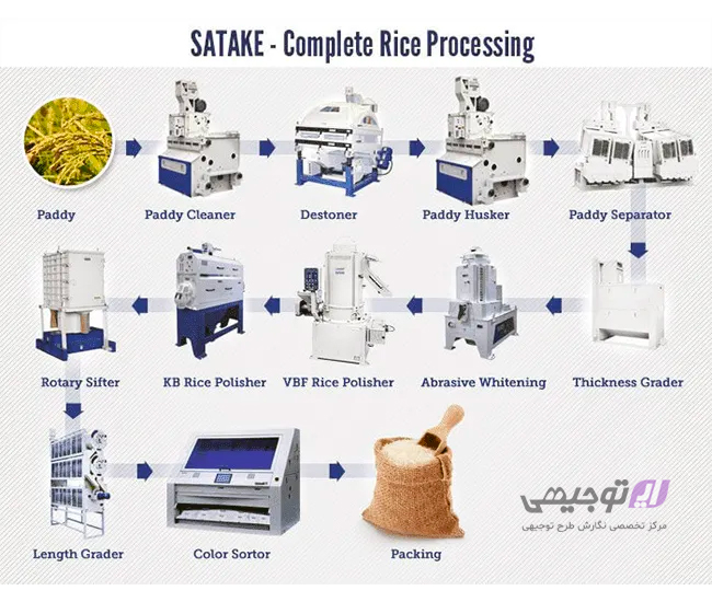 شرح فرایند تولید برنج